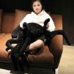Peluche d'araignée noire, douce et réaliste, de grande taille, de 20 à 80 cm – Image 6