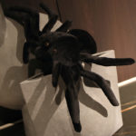 Peluche d'araignée noire, douce et réaliste, de grande taille, de 20 à 80 cm – Image 5