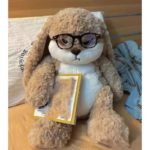 Peluche de lapin à longues oreilles, moelleux, super mignon, oreiller, 35 cm – Image 2