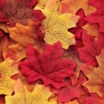 Lot de feuilles d'érable artificielles en soie, de 50 à 200 pièces, pour décoration – Image 5