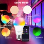 Lot de 3 ampoules LED RGB intelligentes, Wifi / Bluetooth, 2700K à 6500K, E27, 220V – Image 4
