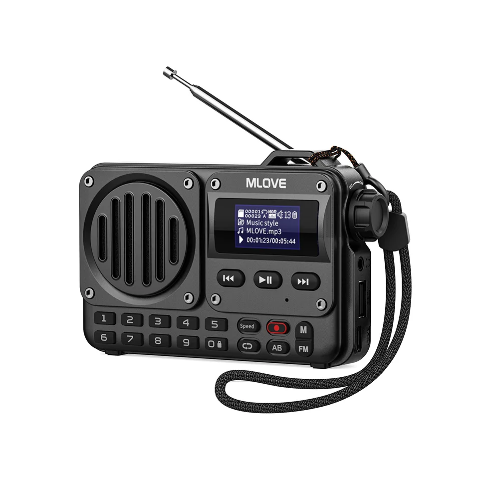 Enceinte Bluetooth BV800, avec radio FM, écran LCD, antenne, entrée AUX, disque USB, carte TF, lecteur MP3