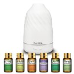 Ensemble de 6 huiles essentielles avec diffuseur d'aromathérapie de 120 ml