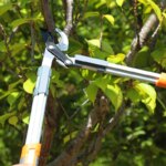 Ciseaux à branches brutes 45 cm, outils d'élagage tranchants et résistants à l'usure, poignée antidérapante – Image 2